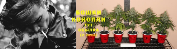 a pvp Аркадак
