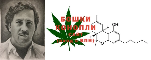 a pvp Аркадак