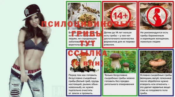 a pvp Аркадак