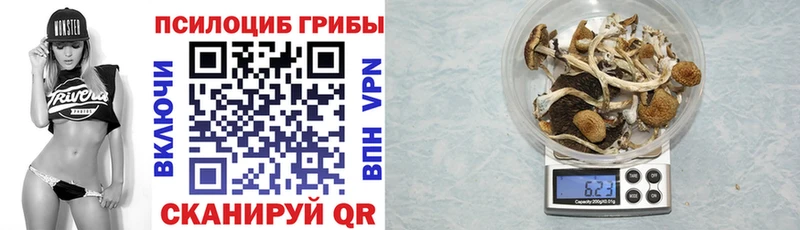 OMG ссылки  где купить наркотик  Череповец  Псилоцибиновые грибы Magic Shrooms 